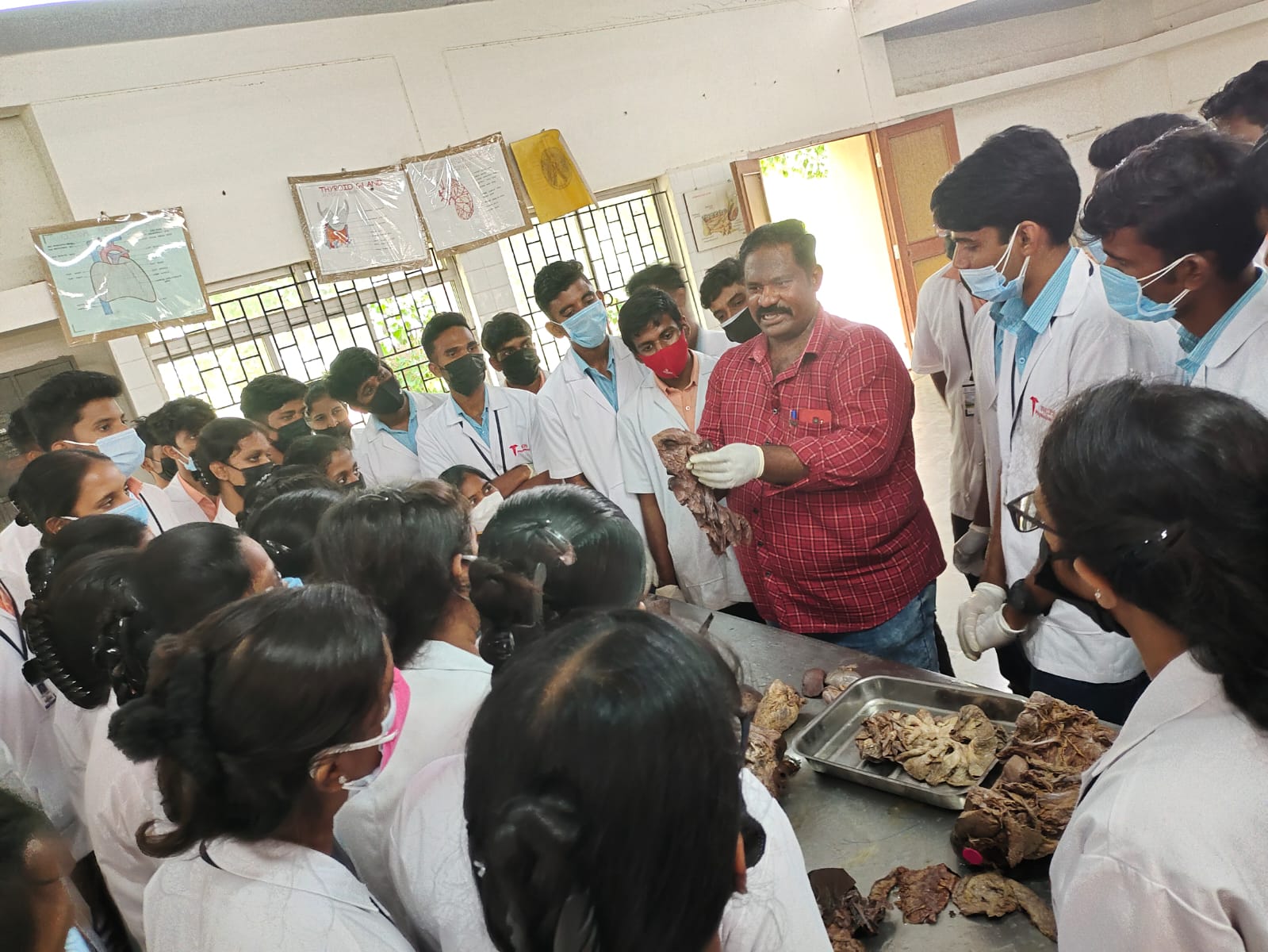 Anatomy Lab 2